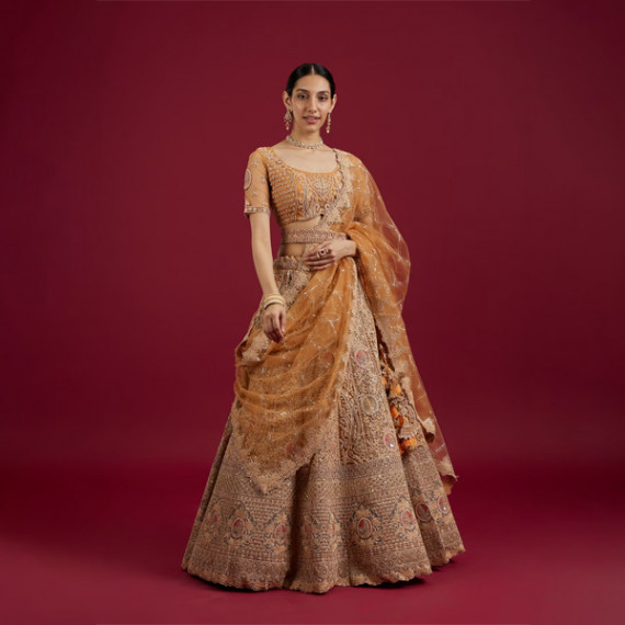 https://www.fazhionshore.com/products/mustard-yellow-radiance-lehenga
